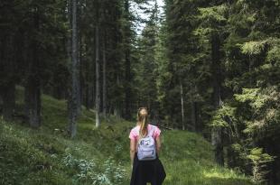 wandelen in het bos